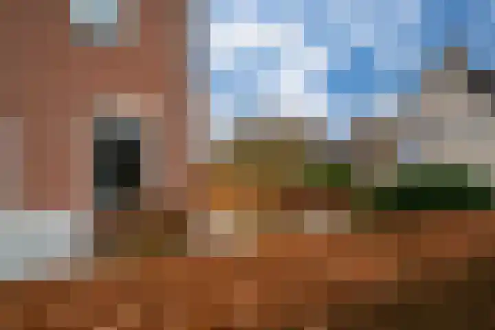 Klarinetstraat 13 Duiven thumbnail 9