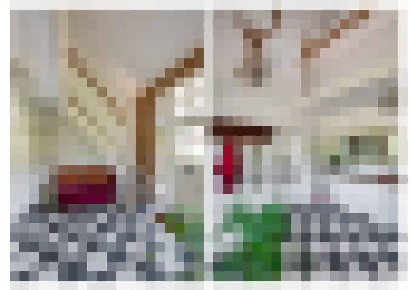Klarinetstraat 18 Etten-Leur thumbnail 14
