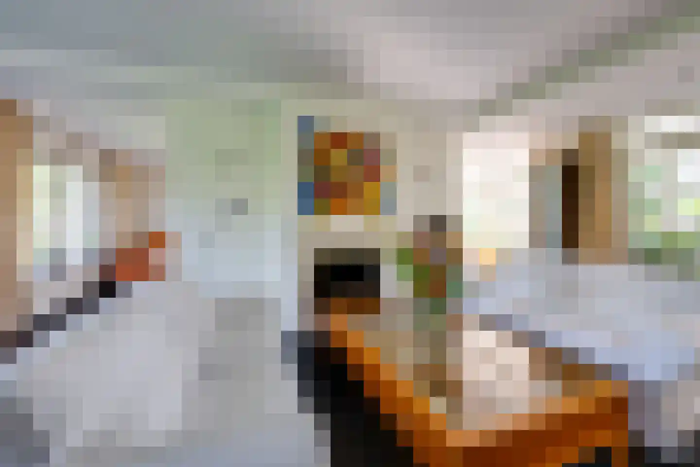 Klarinetstraat 18 Etten-Leur thumbnail 22