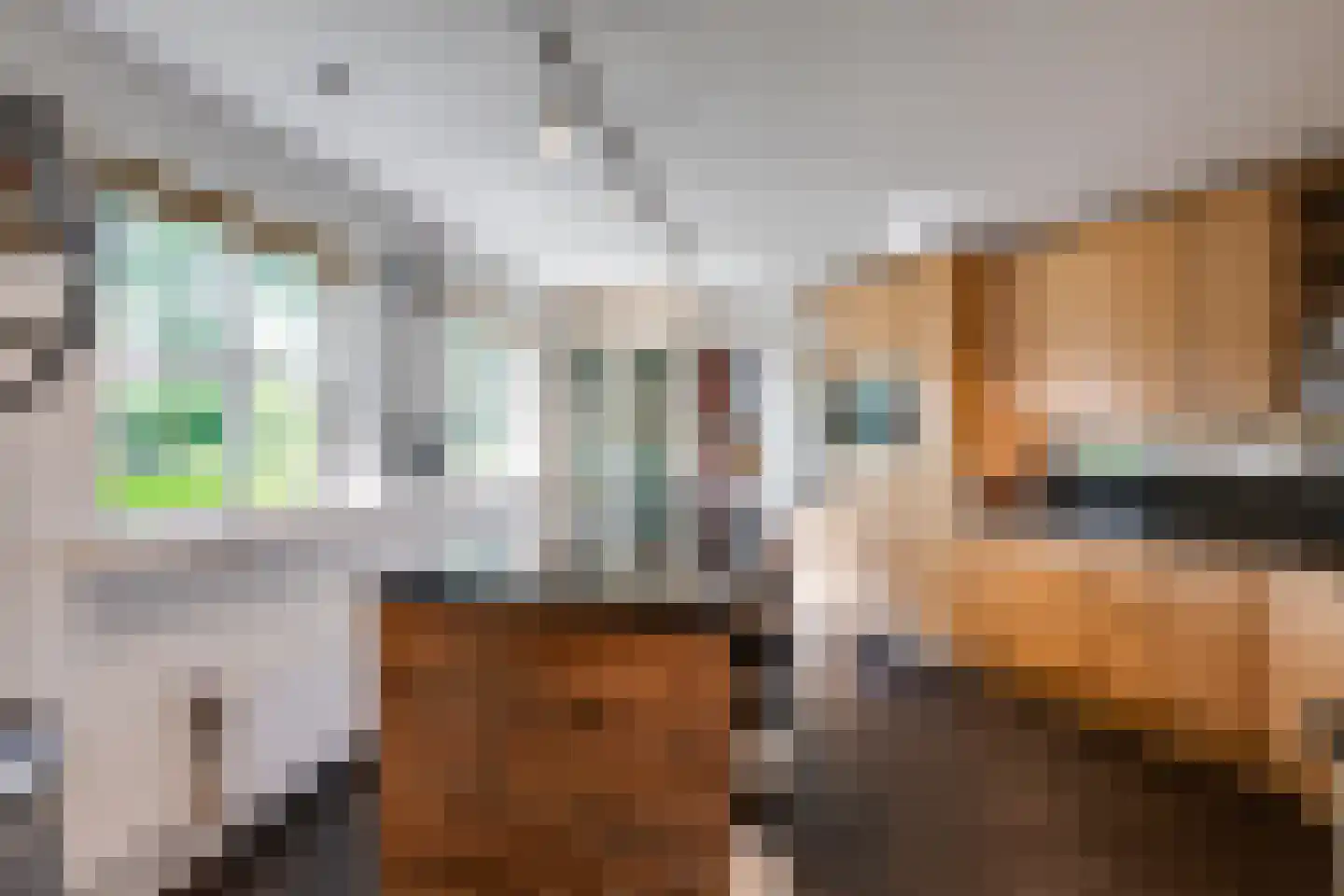 Klarinetstraat 18 Etten-Leur thumbnail 30