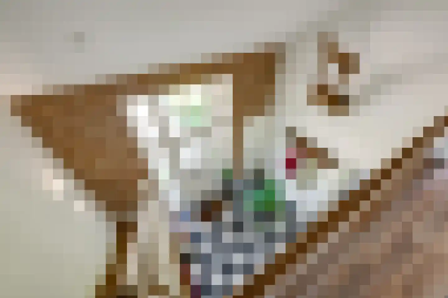 Klarinetstraat 18 Etten-Leur thumbnail 34
