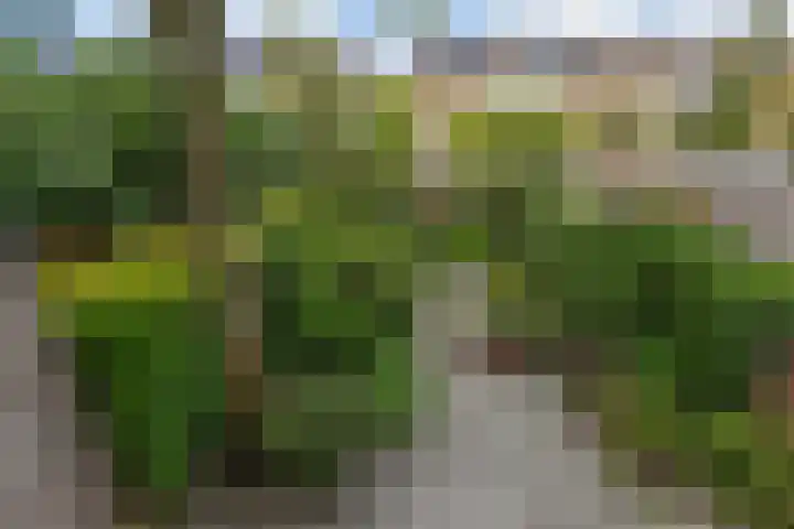Klarinetstraat 26 Rijswijk thumbnail 12