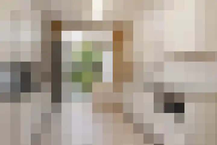 Klarinetstraat 26 Rijswijk thumbnail 6