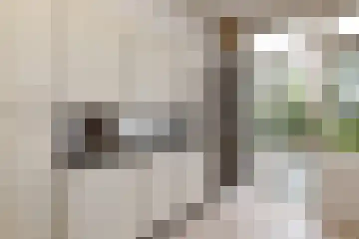 Klarinetstraat 26 Rijswijk thumbnail 7