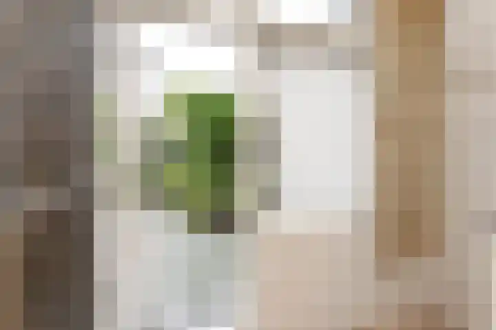 Klarinetstraat 26 Rijswijk thumbnail 8