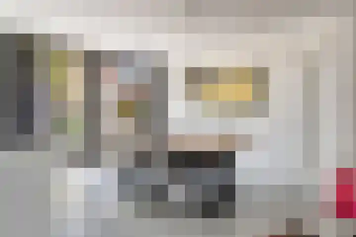 Klarinetstraat 47 Uden thumbnail 10
