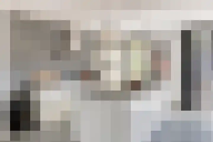 Klarinetstraat 47 Uden thumbnail 13