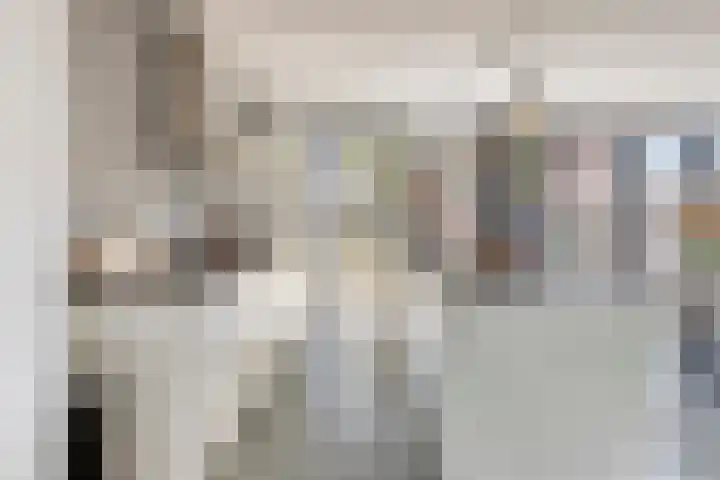 Klarinetstraat 47 Uden thumbnail 14
