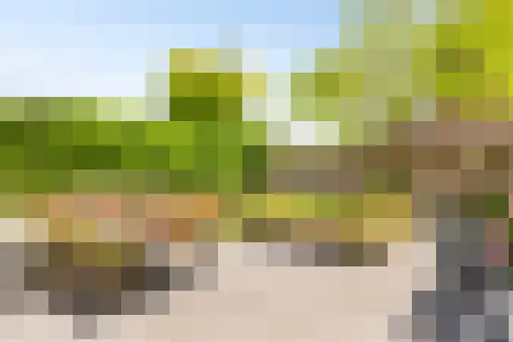 Klarinetstraat 47 Uden thumbnail 25