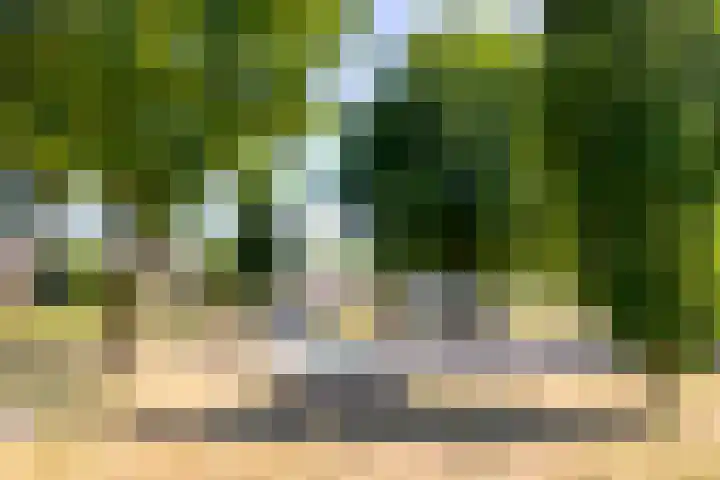 Klarinetstraat 47 Uden thumbnail 30