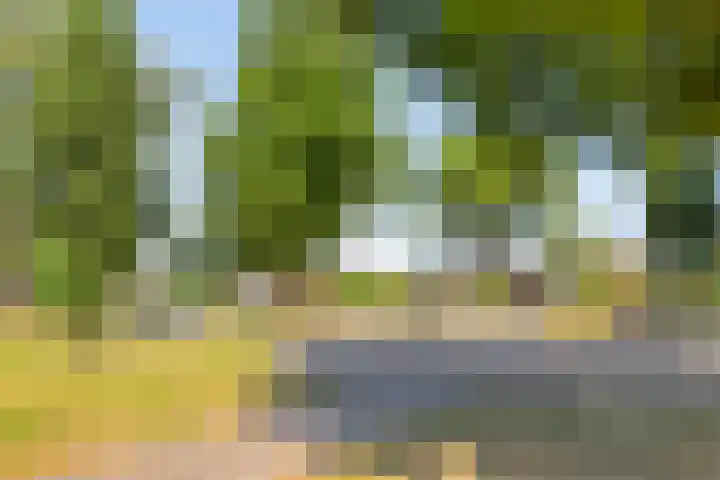 Klarinetstraat 47 Uden thumbnail 31