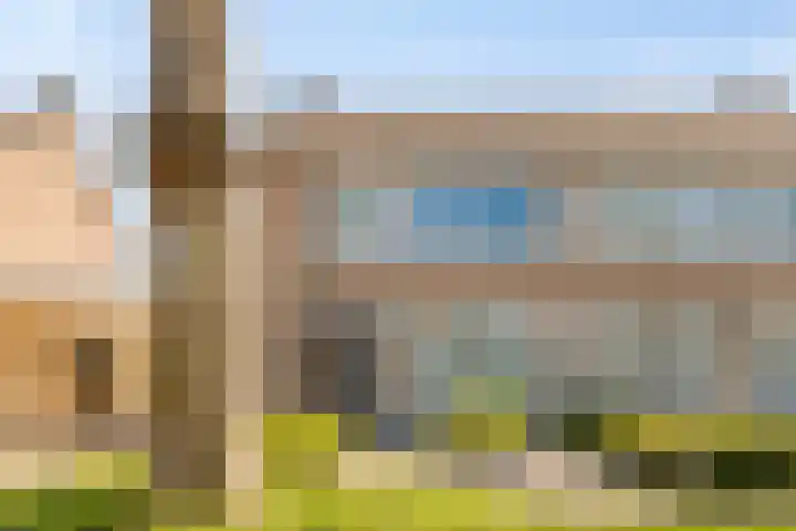 Klarinetstraat 47 Uden thumbnail 5