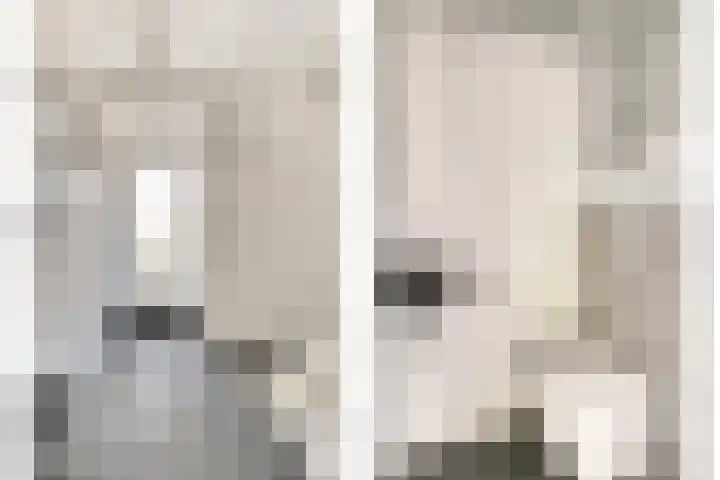 Klarinetstraat 47 Uden thumbnail 6