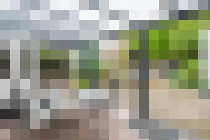 Klarinetstraat 53 Uden thumbnail 25