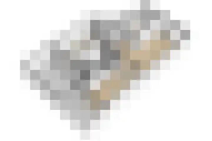 Klarinetstraat 53 Uden thumbnail 30