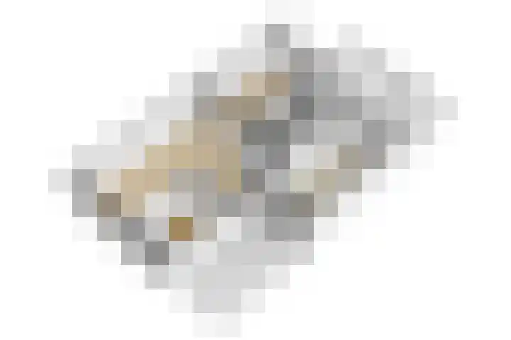 Klarinetstraat 53 Uden thumbnail 31