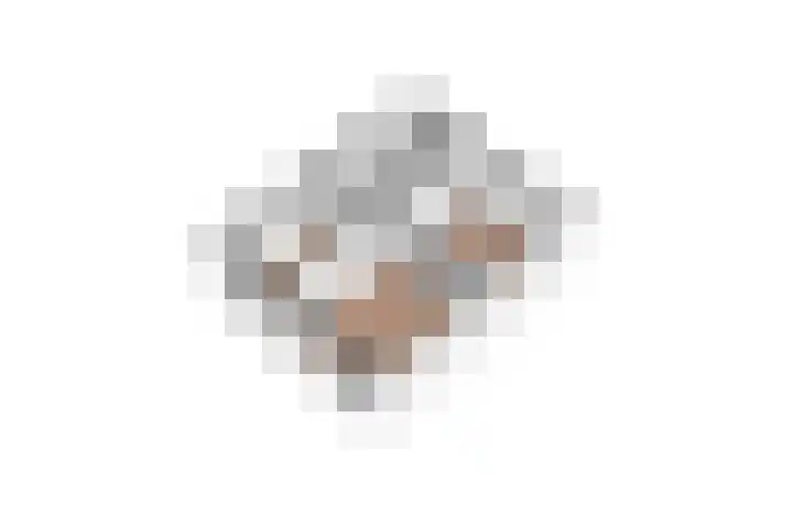 Klarinetstraat 53 Uden thumbnail 33