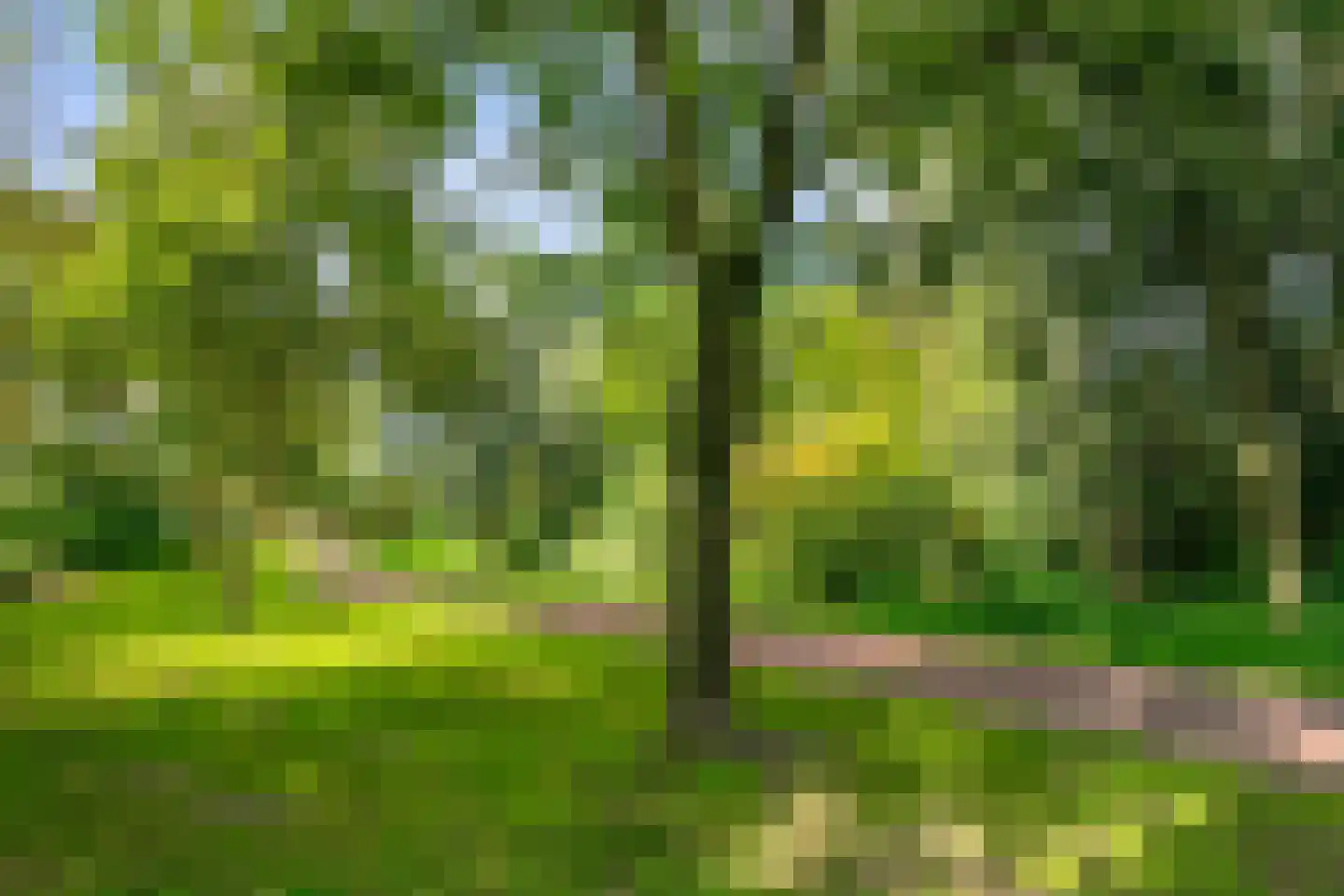 Klarinetstraat 6 Helmond thumbnail 37