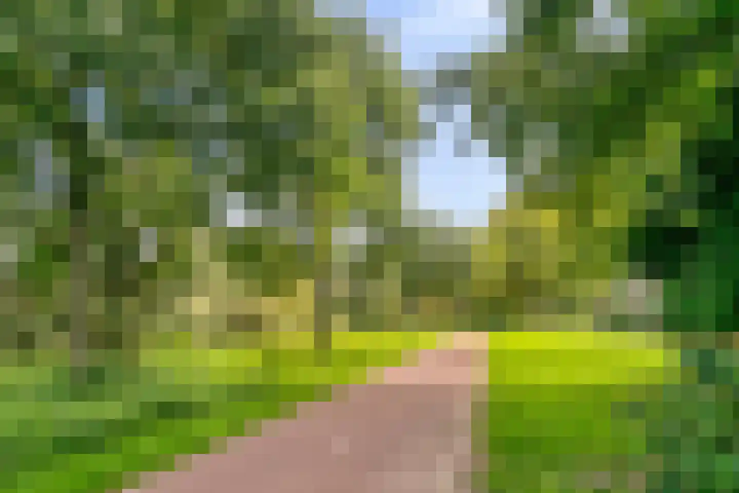 Klarinetstraat 6 Helmond thumbnail 38