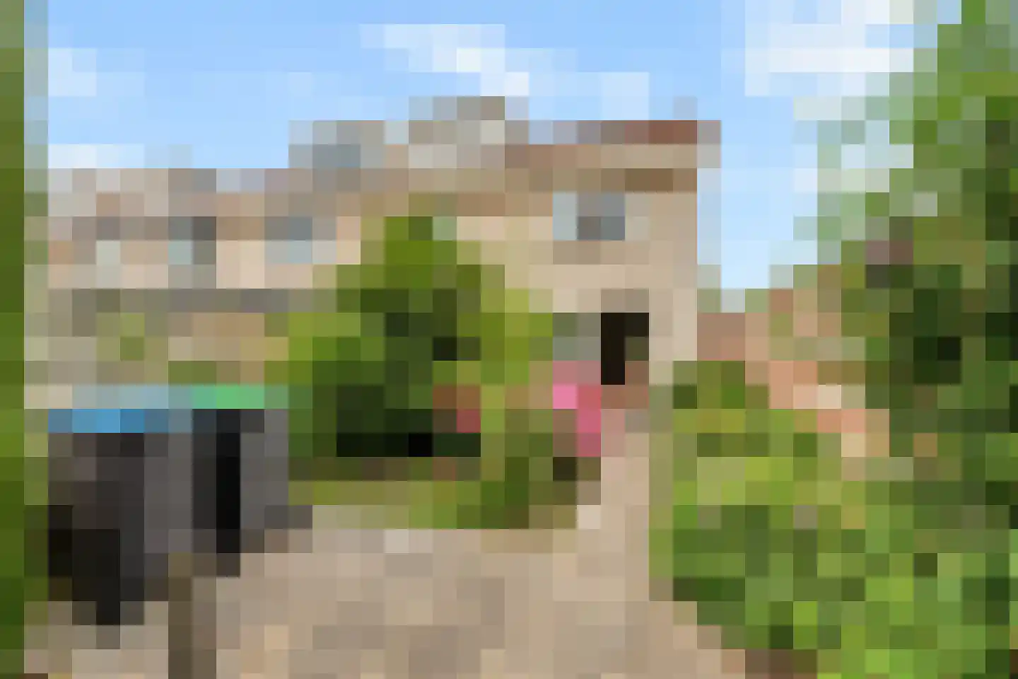 Klarinetweg 67 Barendrecht thumbnail 24