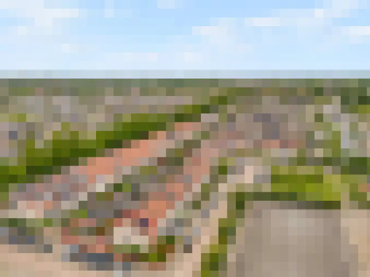 Klarinetweg 67 Barendrecht thumbnail 5