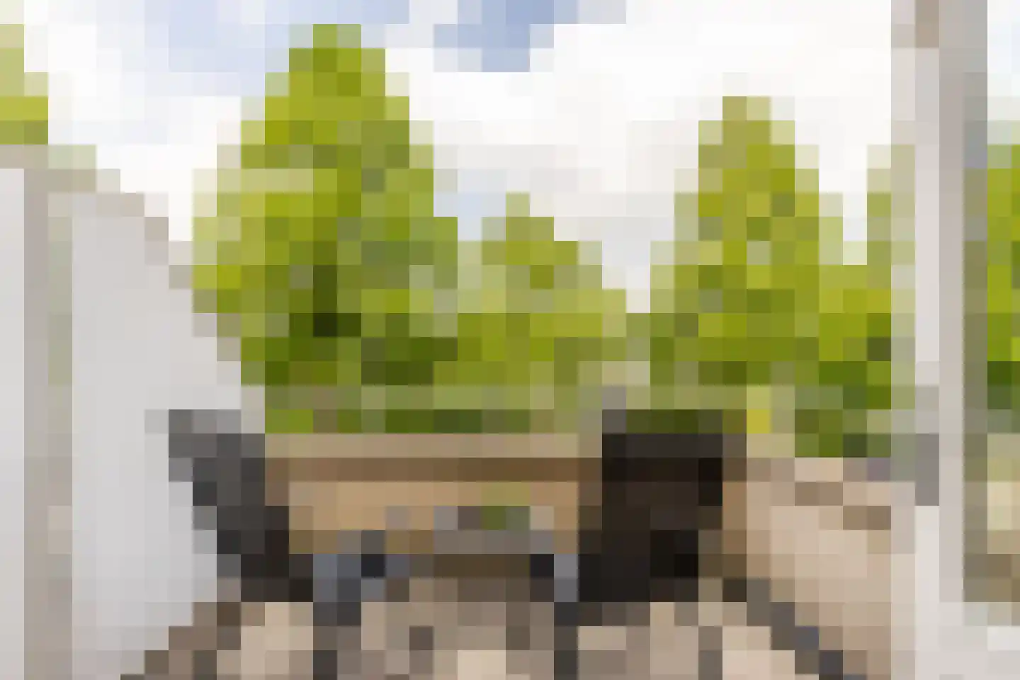 Klarinetweg 73 Barendrecht thumbnail 22