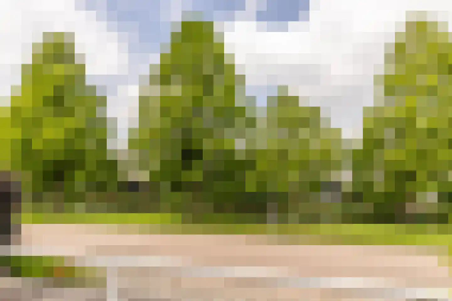 Klarinetweg 73 Barendrecht thumbnail 23