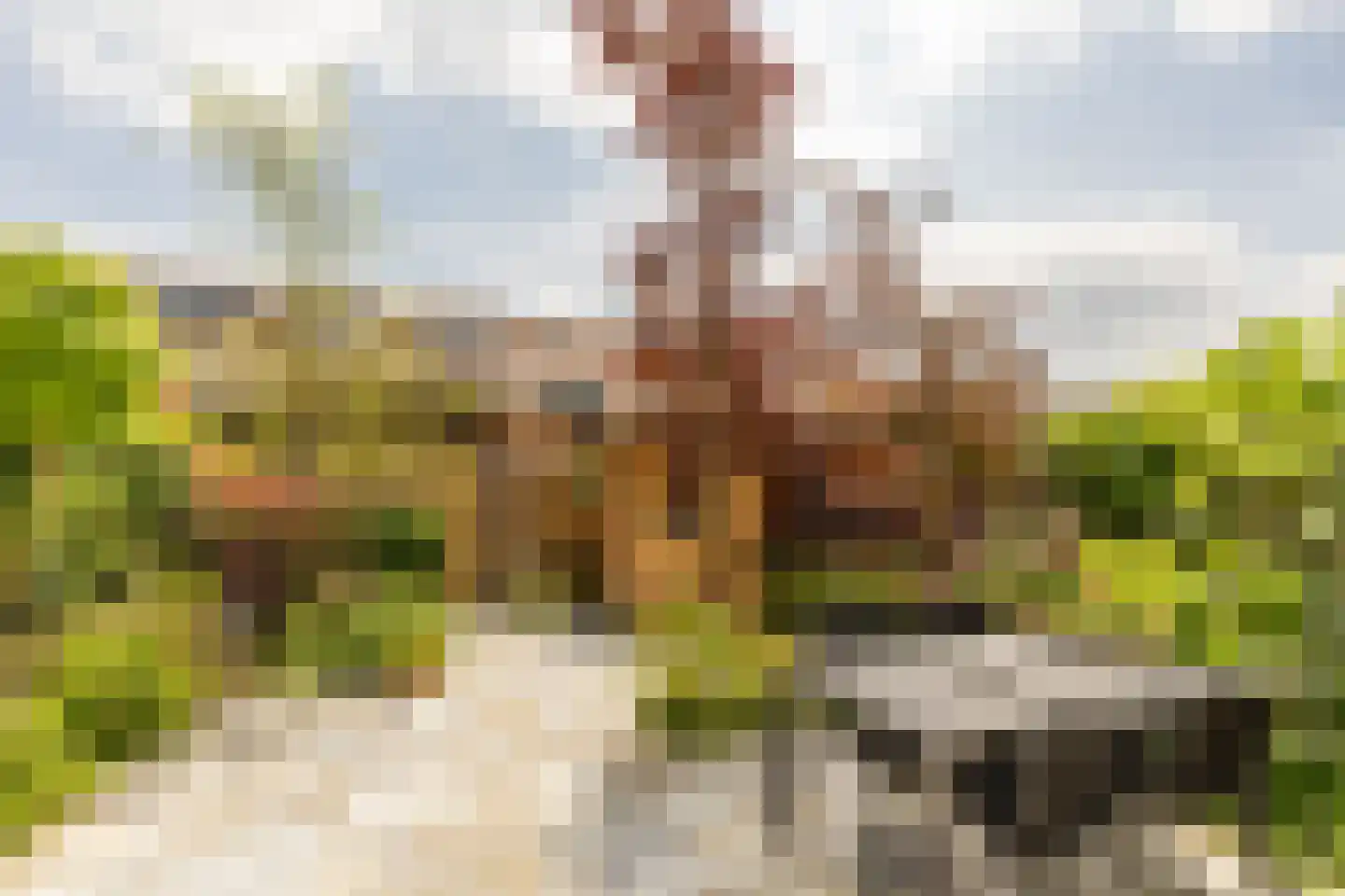 Klarinetweg 73 Barendrecht thumbnail 4