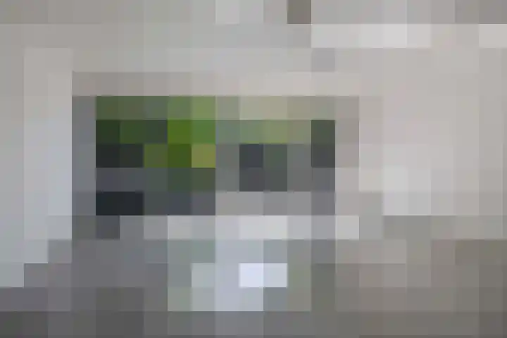 Klaroen 18 Capelle aan den IJssel thumbnail 10