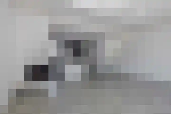 Klaroen 18 Capelle aan den IJssel thumbnail 12