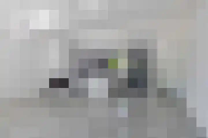 Klaroen 18 Capelle aan den IJssel thumbnail 13