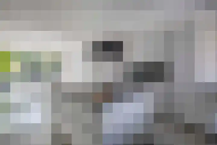 Klaroen 18 Capelle aan den IJssel thumbnail 17