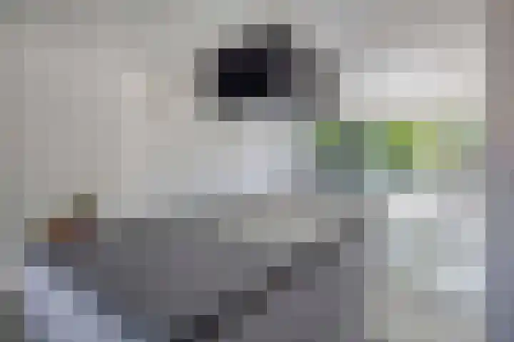 Klaroen 18 Capelle aan den IJssel thumbnail 18