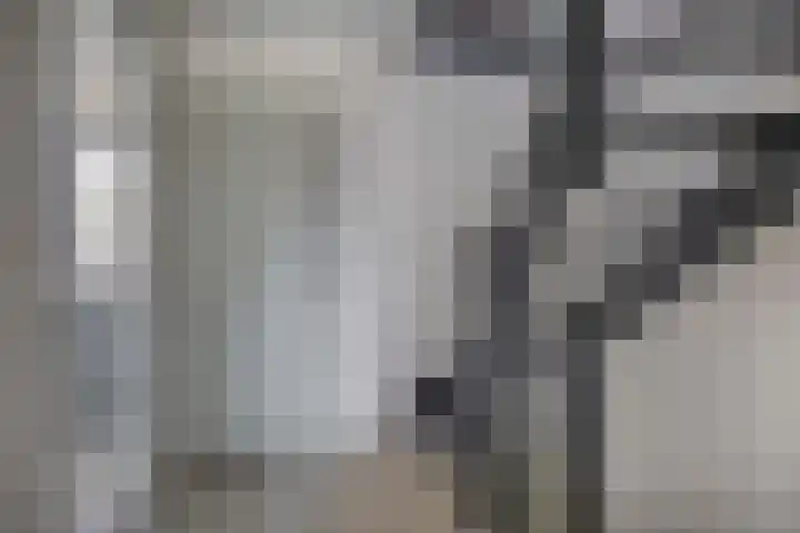 Klaroen 18 Capelle aan den IJssel thumbnail 19