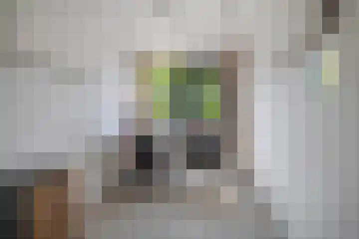 Klaroen 18 Capelle aan den IJssel thumbnail 23