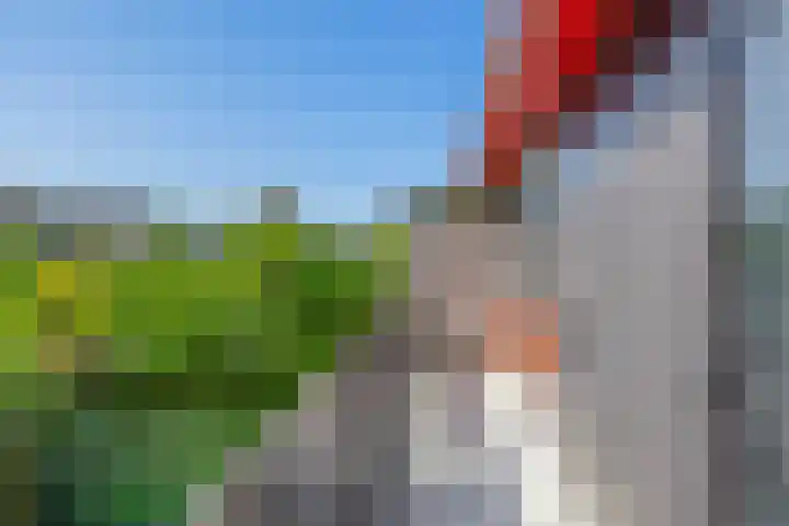 Klaroen 18 Capelle aan den IJssel thumbnail 25