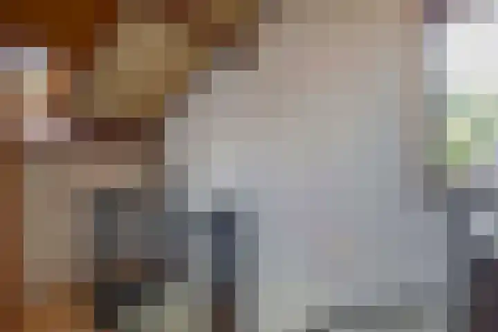 Klaroen 18 Capelle aan den IJssel thumbnail 30