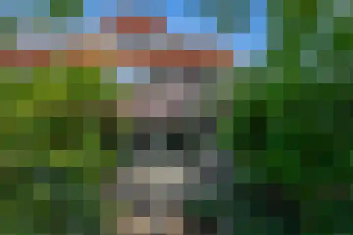Klaroen 18 Capelle aan den IJssel thumbnail 34