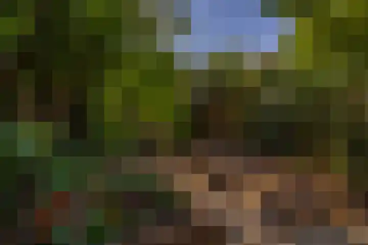 Klaroen 18 Capelle aan den IJssel thumbnail 35