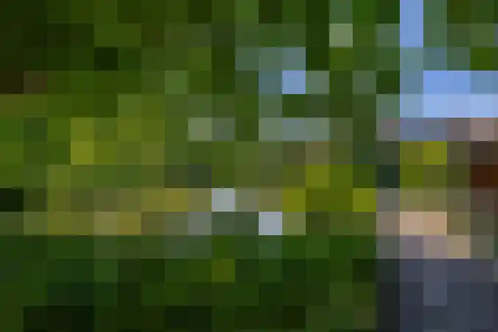 Klaroen 18 Capelle aan den IJssel thumbnail 36