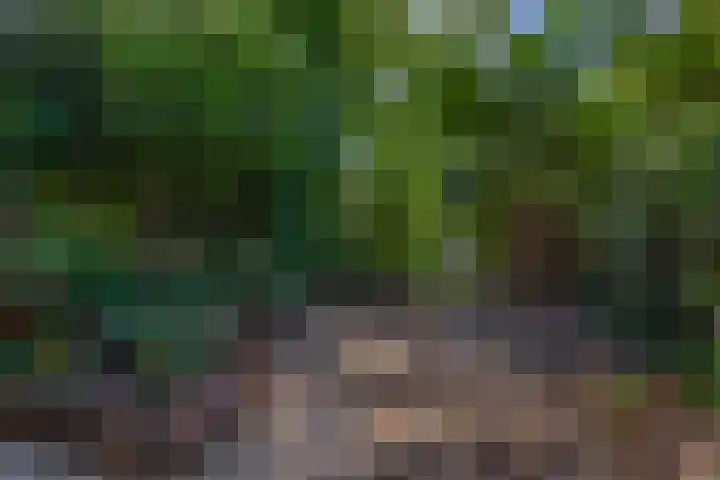 Klaroen 18 Capelle aan den IJssel thumbnail 37