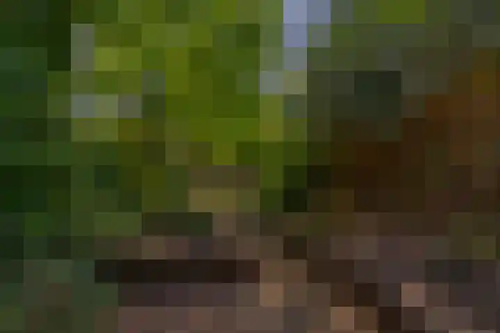 Klaroen 18 Capelle aan den IJssel thumbnail 38