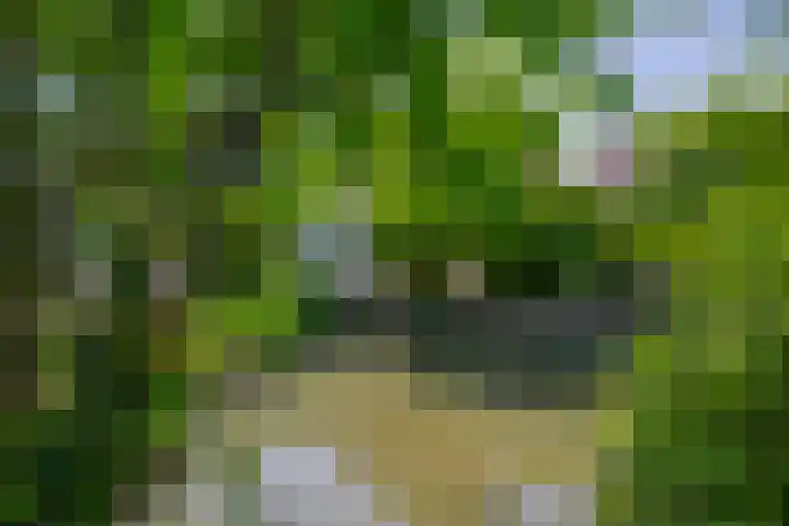 Klaroen 18 Capelle aan den IJssel thumbnail 39