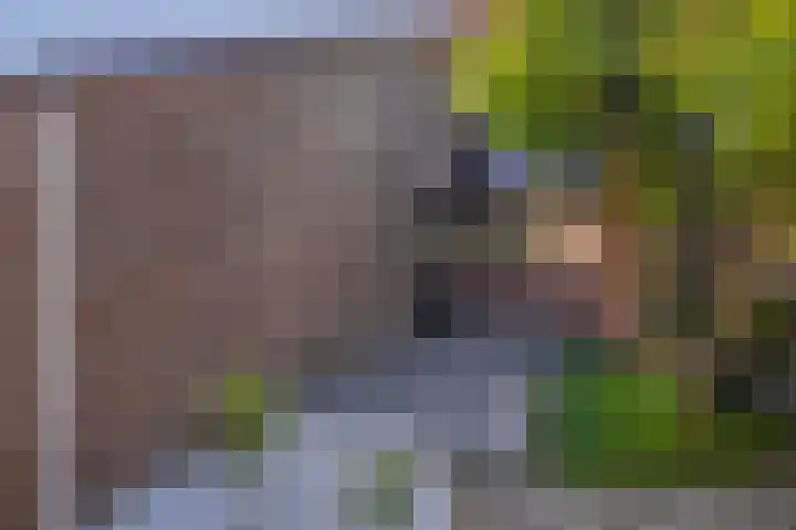 Klaroen 18 Capelle aan den IJssel thumbnail 5