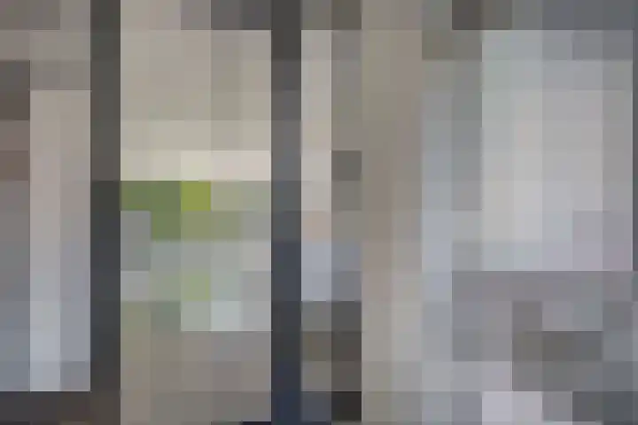 Klaroen 18 Capelle aan den IJssel thumbnail 8