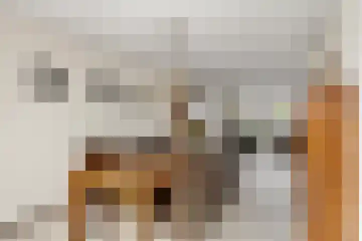 Klaroen 8 Zevenaar thumbnail 23