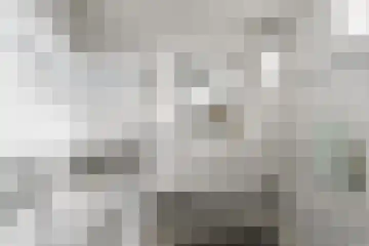 Klaroen 8 Zevenaar thumbnail 38