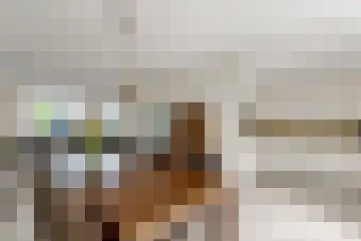 Klaroen 8 Zevenaar thumbnail 5