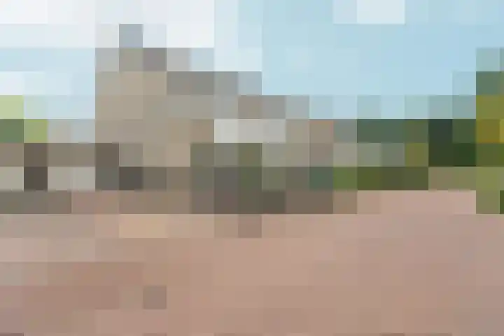 Klaroen 8 Zevenaar thumbnail 56