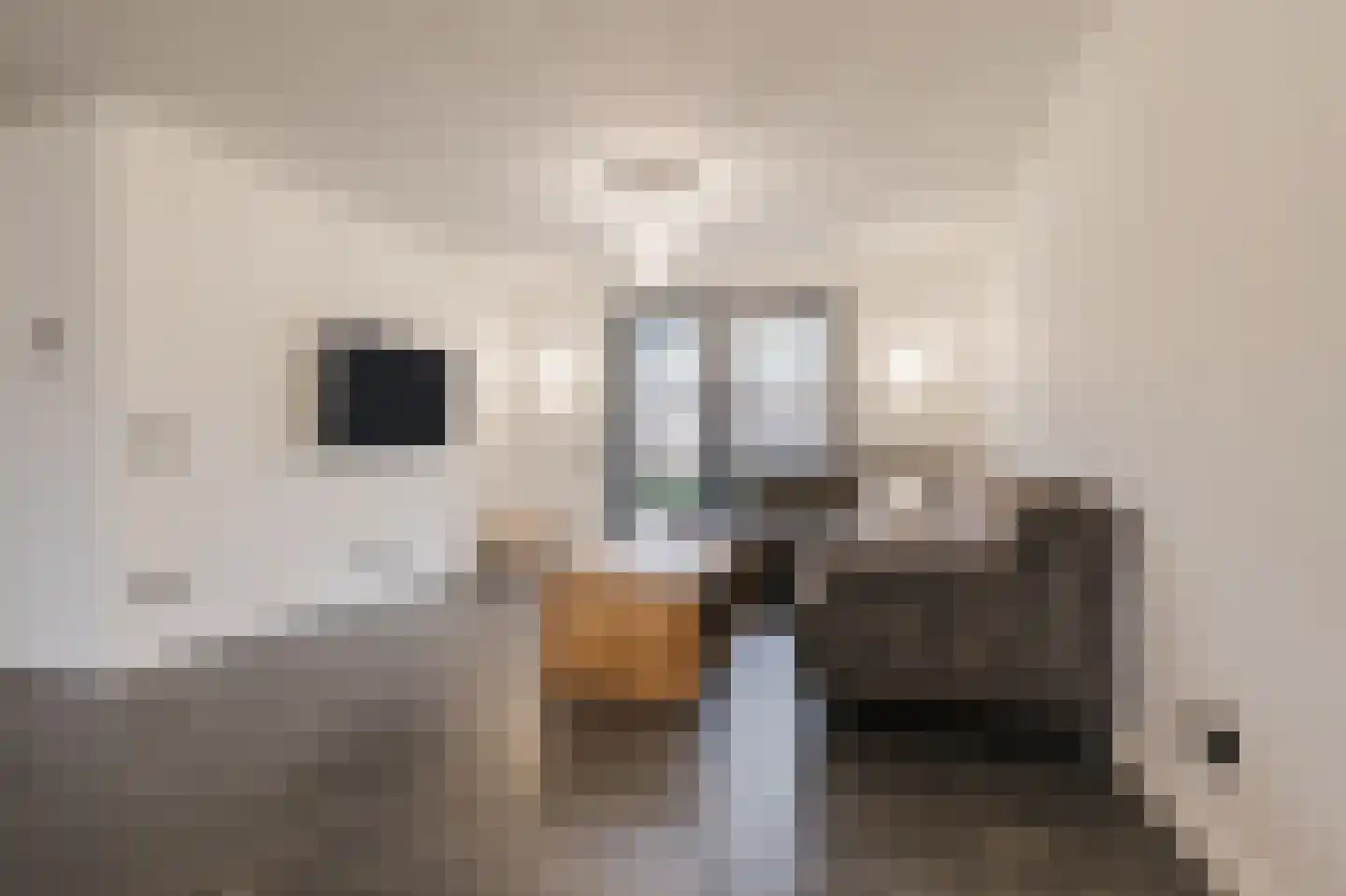 Klaroenlaan 1 Uden thumbnail 10